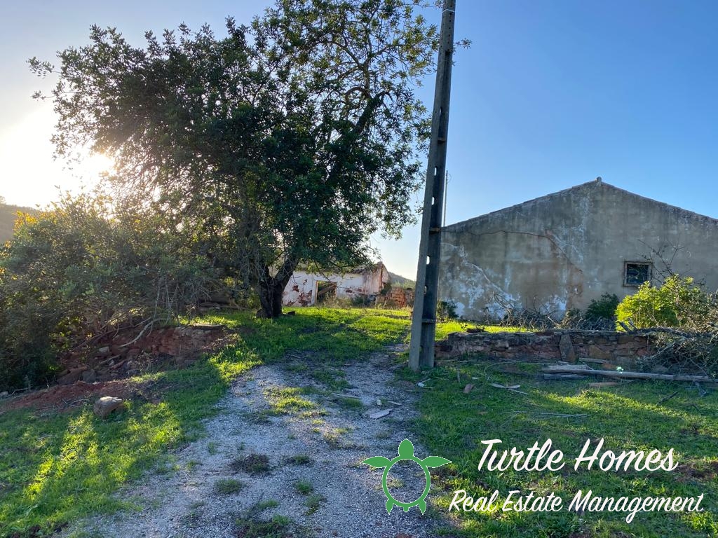 TH2023210, Old house to renovate 