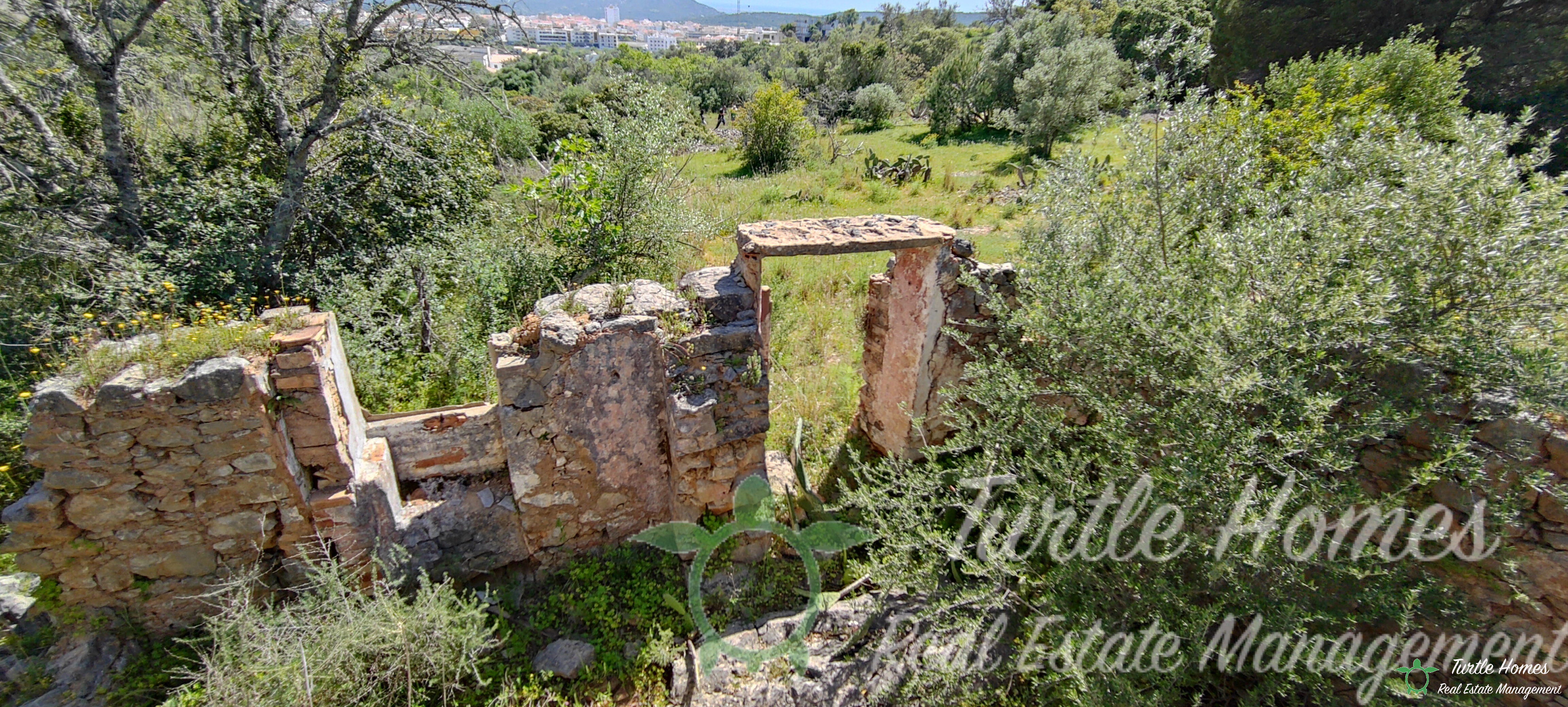 TH2023331, South-facing ruin with views 